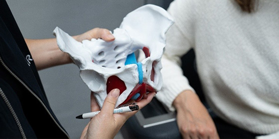 Anatomie des Beckenbodens
